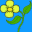 A flower to say I'm Sorry with