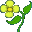 A flower to say I'm Sorry with